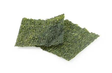 Alga Nori