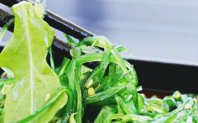 Alga wakame