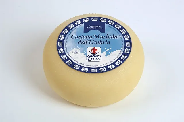 Caciotta