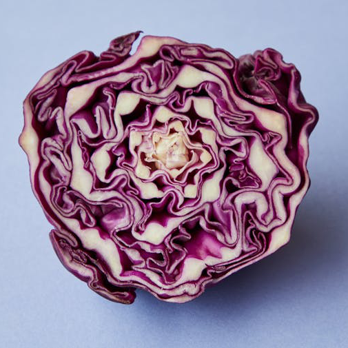 Cavolo rosso