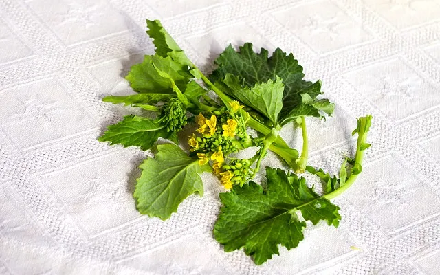 Cime di rapa (friarielli)