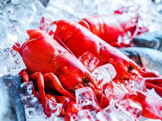 Crostacei (media)