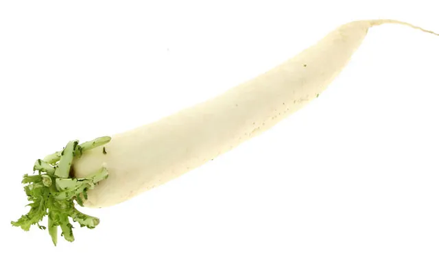 Daikon