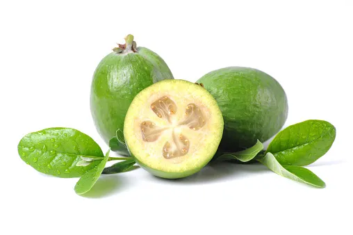 Feijoa