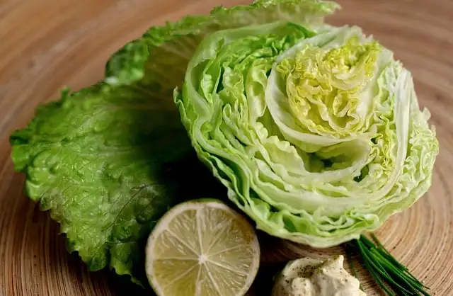 Insalata lattuga iceberg