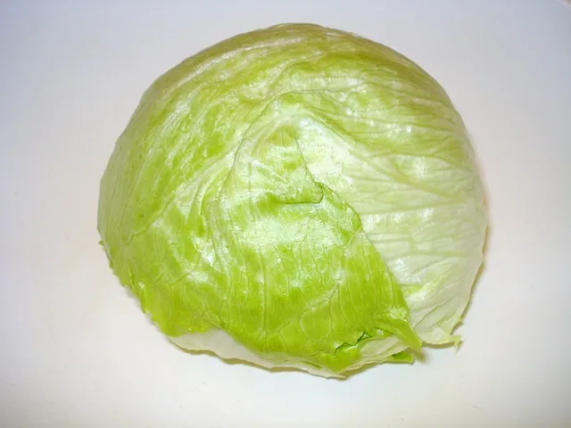 Lattuga iceberg