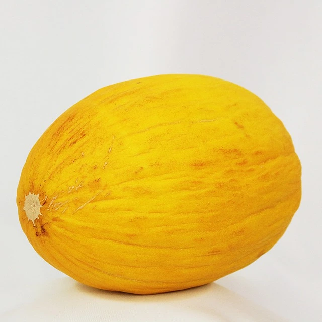 Melone giallo (melone d'inverno)