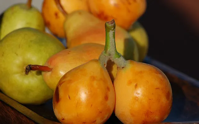 Nespole