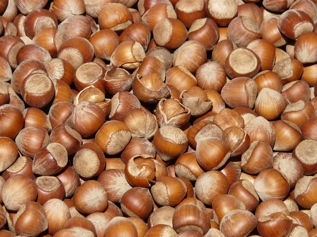 Nocciole