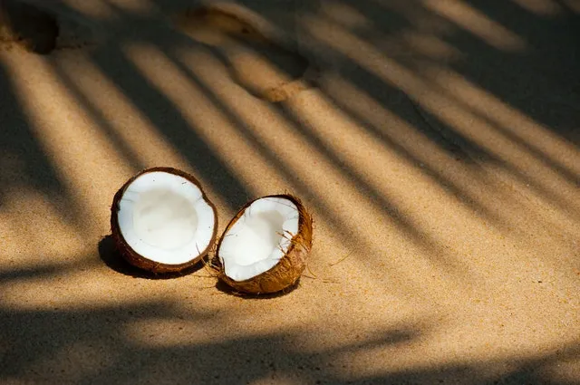 Cocco, essiccato