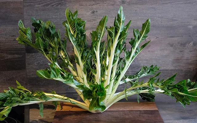 Puntarelle