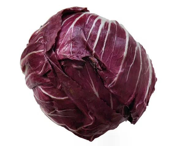 Radicchio rosso