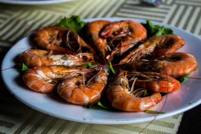 Scampi