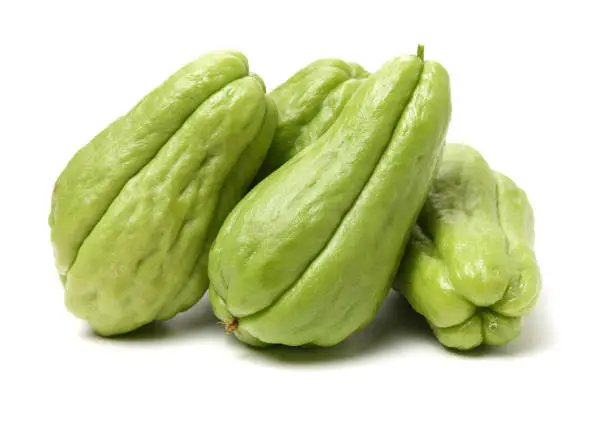 Zucchina centenaria (sechio)