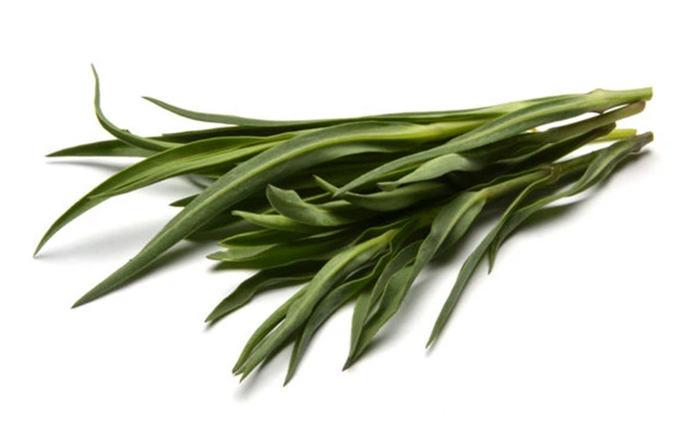 Strigoli, stridoli (silene vulgaris)