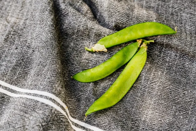 Taccole
