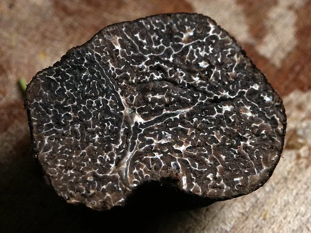 Tartufo, nero